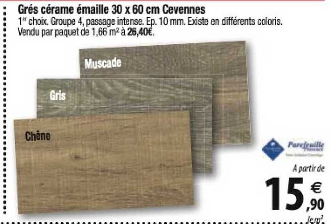 grés cérame émaillé 30 x 60 cm cévennes
