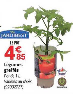 légumes greffés jardibest
