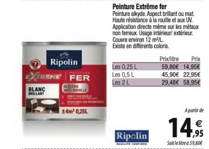 Peinture Extrême Fer Ripolin