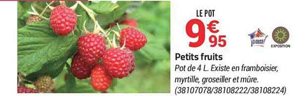 Petis Fruits