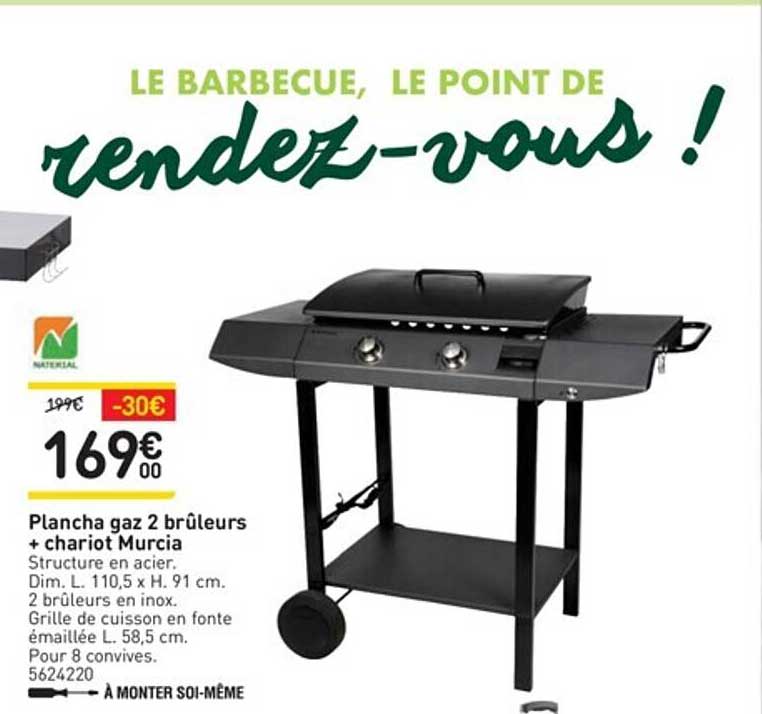 plancha gaz 2 brûleurs + chariot murcia