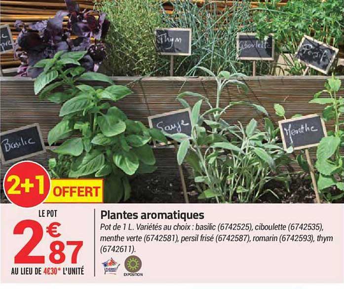 Plantes Aromatiques