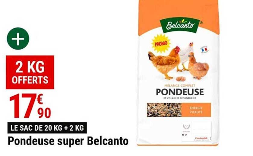pondeuse super belcanto