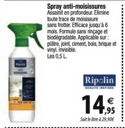 spray anti-moisissures ripolin