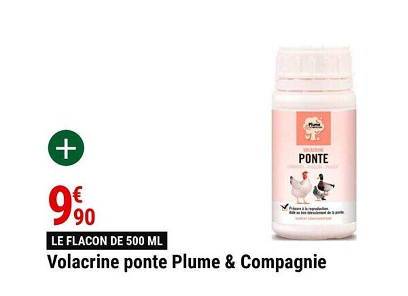 volacrine ponte plume & compagnie