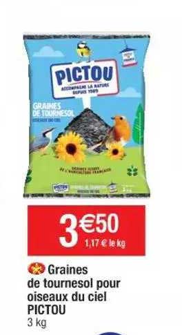 Graines De Tournesol Pour Oiseaux Du Ciel Pictou