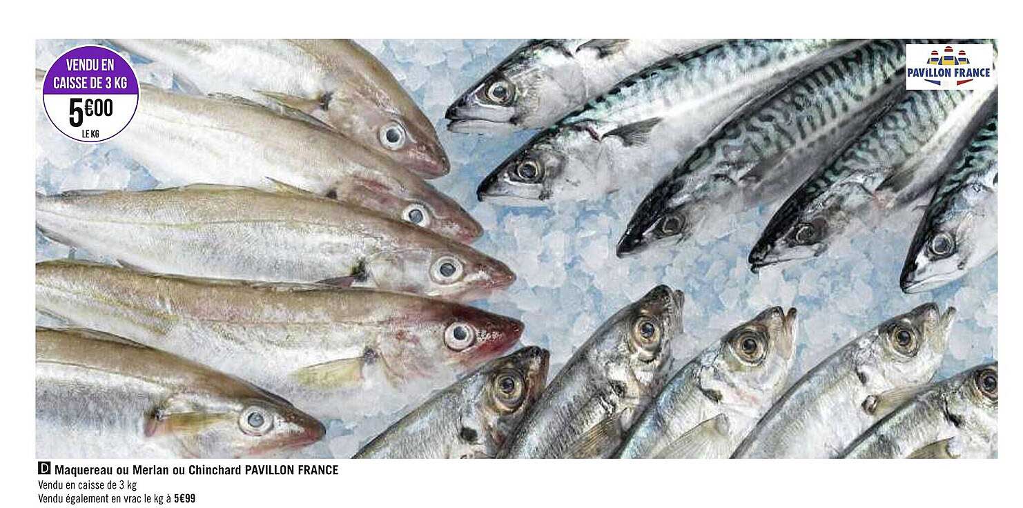 maquereau ou merlan ou chinchard pavillon france