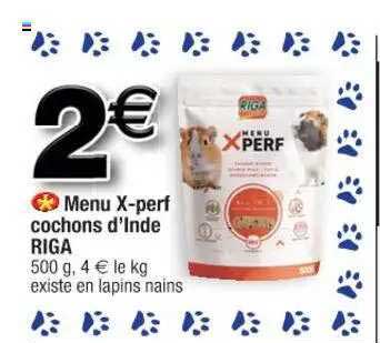 menu x-perf cochons d'inde riga