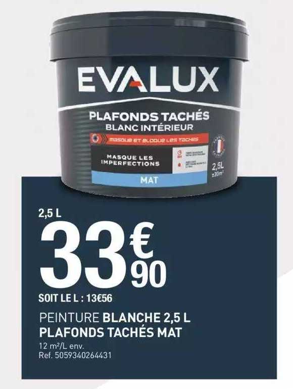 peinture blanche 2,5 l plafonds tachés mat evalux
