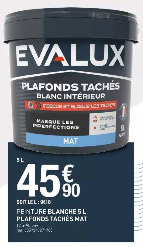 peinture blanche 5 l plafonds tachés mat evalux