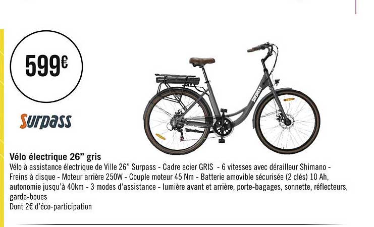 Vélo électrique 26" Gris Surpass