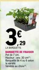 Barquette De Fraisier