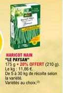 Haricot Nain "le Paysan"