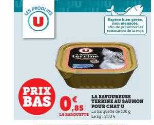 La Savoureuse Terrine Au Saumon Pour Chat U
