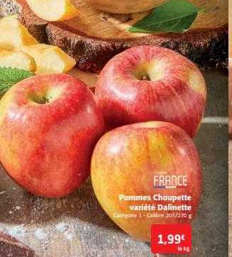 pommes choupette variété dalinette