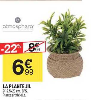 La Plante Jil Atmosphera
