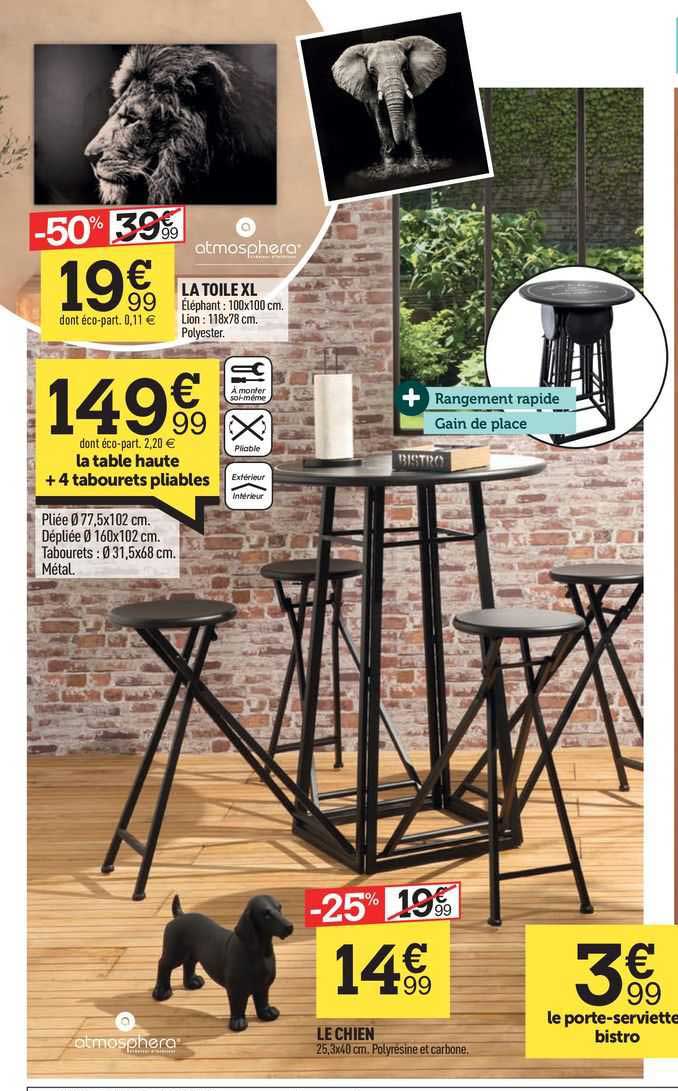 la toile xl, la table haute + 4 tabourets pliables, le chien, le porte-serviettes bistro