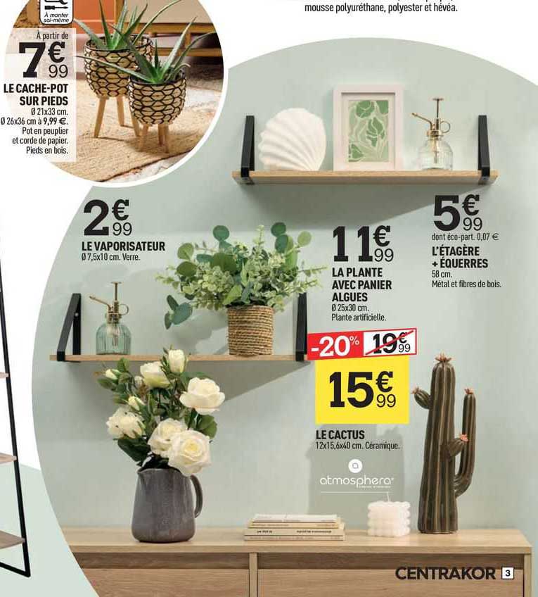 le cache-pot sur pieds, le vaporisateur, la plante avec panier algues, l'étagère + équerres, le cactus