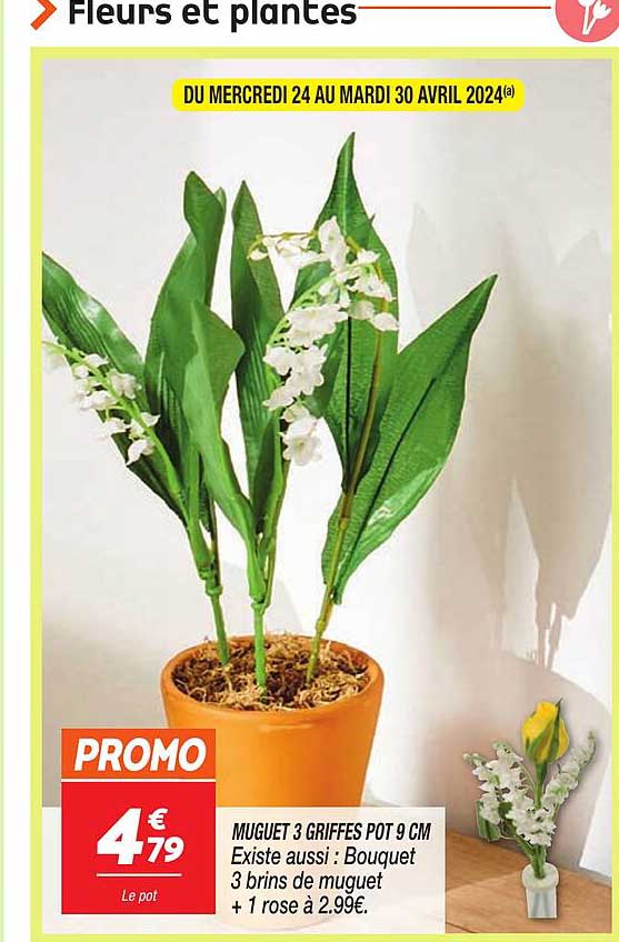 muguet 3 griffes pot 9 cm