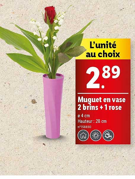 muguet en vase 2 brins + 1 rose