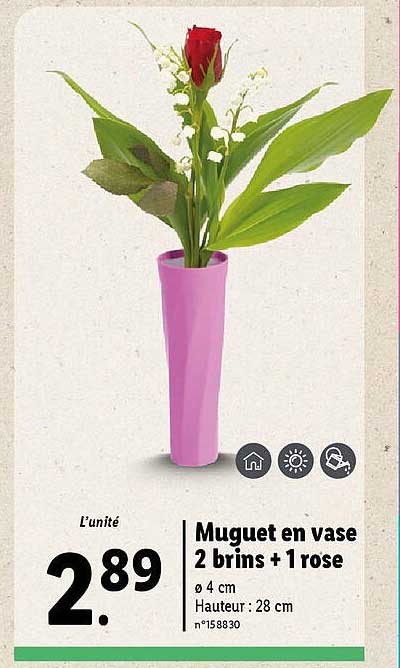 Muguet En Vase 2 Brins + 1 Rose