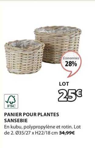 Panier Pour Plantes Sansebie