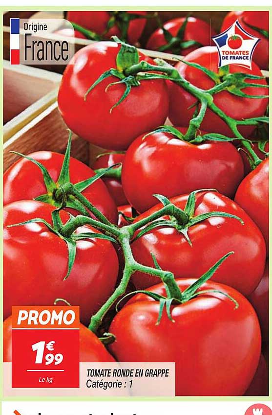 Tomate Ronde En Grappe
