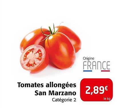 tomates allongées san marzano