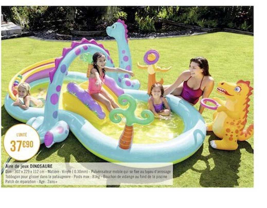 Aire De Jeux Dinosaure