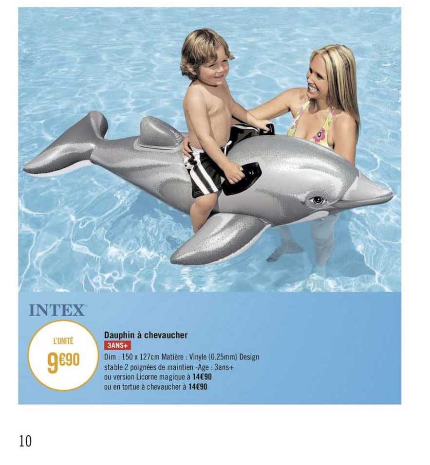 dauphin à chevaucher