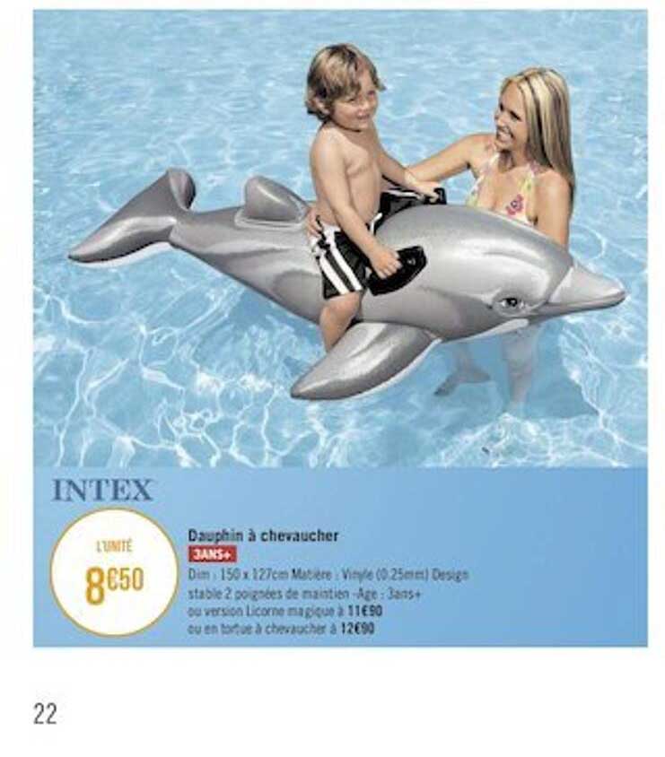 dauphin à chevaucher intex