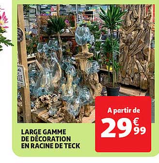 large gamme de décoration en racine de teck