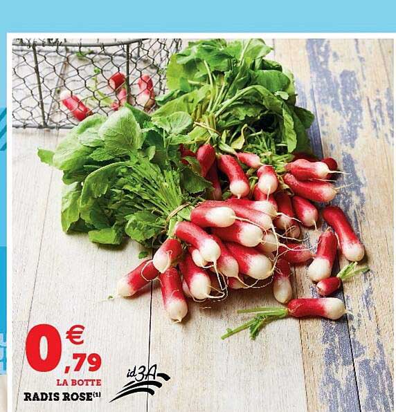 Radis Rose
