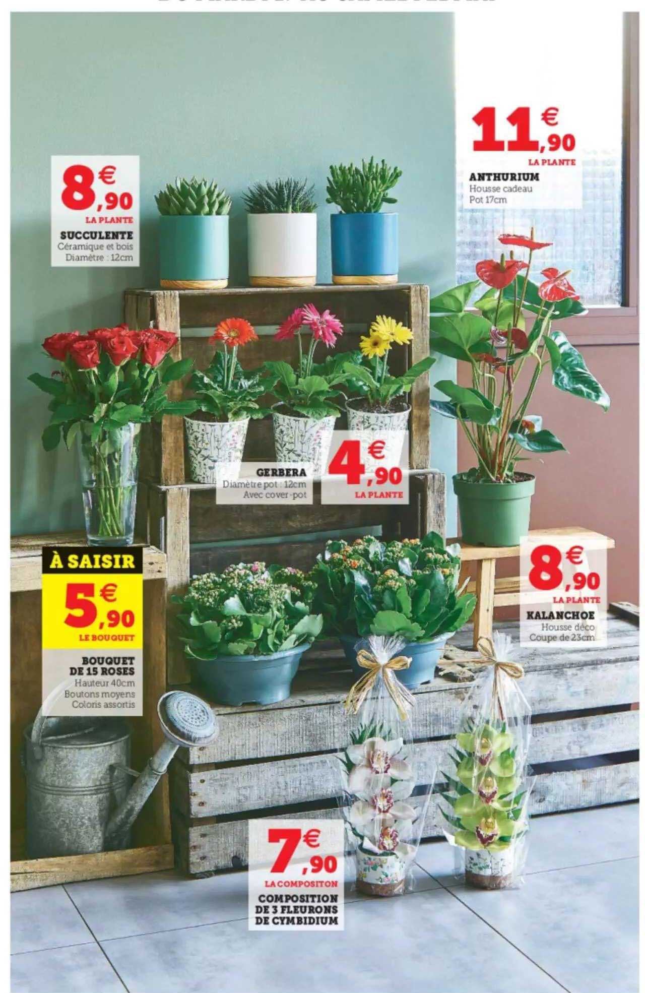 succulente, anthurium, gerbera, kalanchoe,composition de 3 fleurons de cymbidium