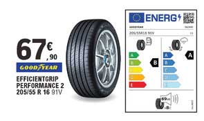 efficientgrip performance 2 205 55 r16