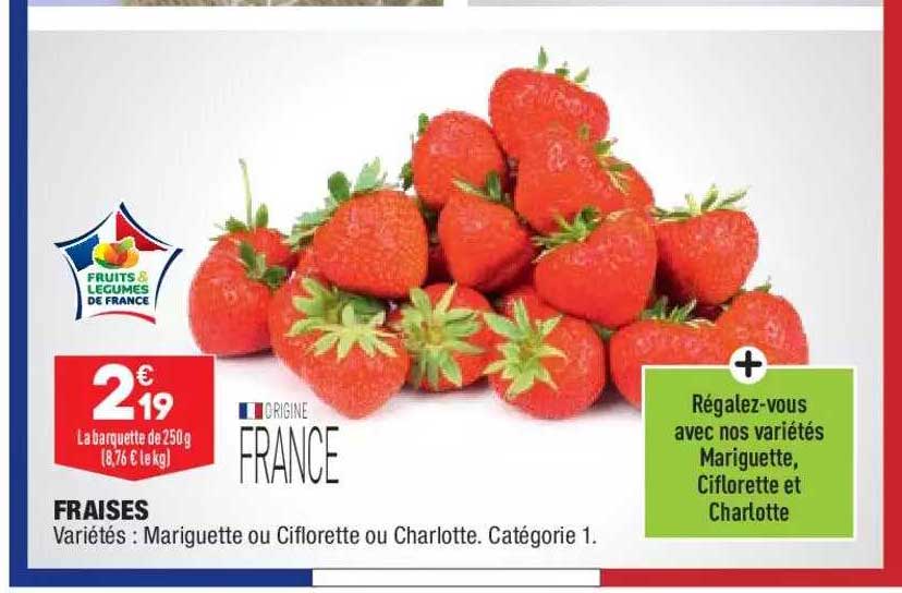 fraises mariguette ou ciflorette ou charlotte