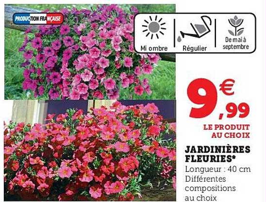 jardinières fleuries