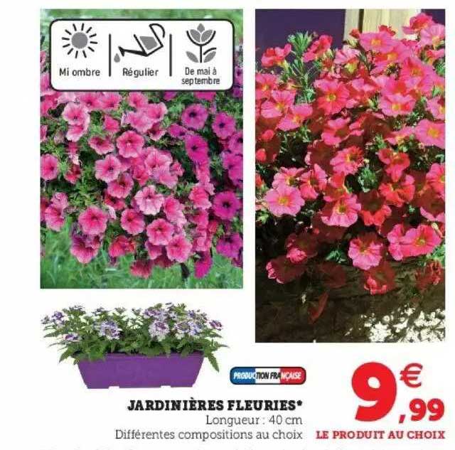 jardinières fleuries