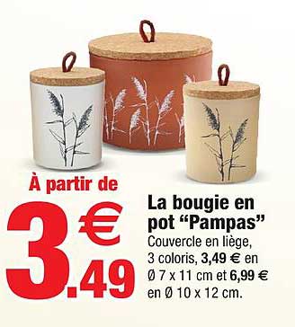 La Bougie En Pot "pampas'