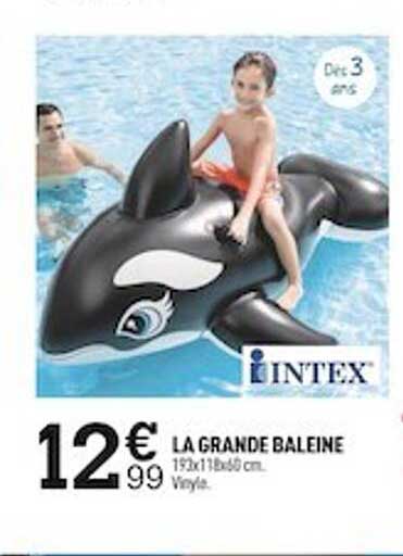 La Grande Baleine Intex