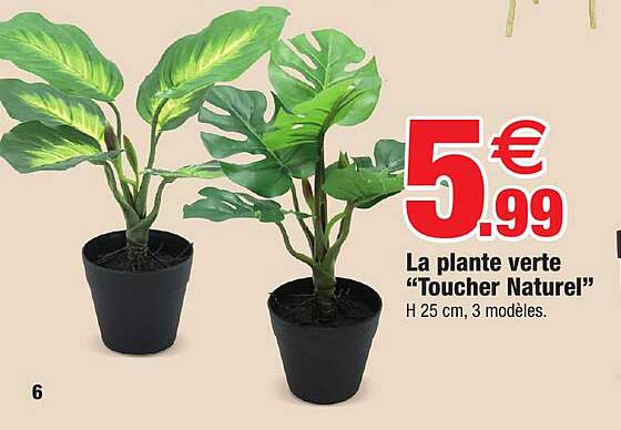 la plante verte "toucher naturel"