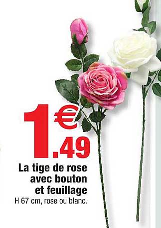 la tige de rose avec bouton et feuillage