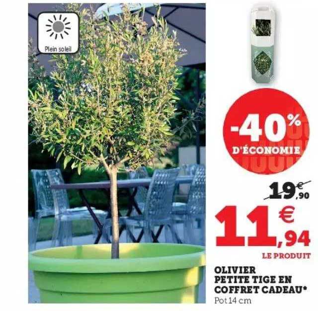 olivier petite tige en coffret cadeau