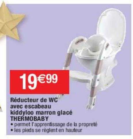 Réducteur De Wc Avec Escabeau Kiddyloo Marron Glacé Thermobaby