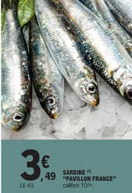 sardine "pavillon france"