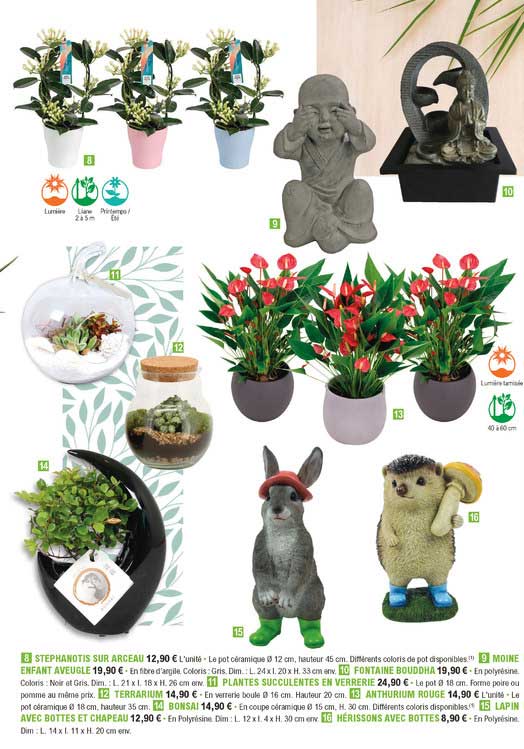 stephanotis sur arceau, moine enfant aveugle, fontaine bouddha, plantes succulentes en verreries, terrarium, anthurium rouge, bonsaï, lapin avec bottes et chapeau, hérissons avec bottes,