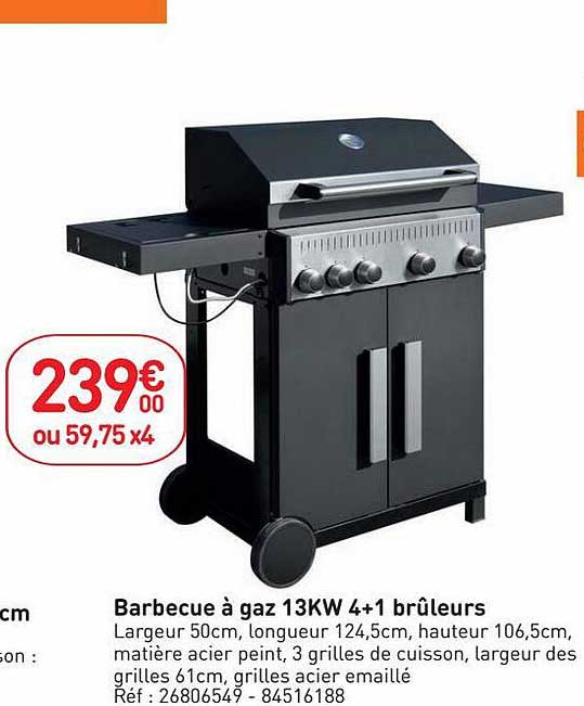barbecue à gaz 13kw 4+1 brûleurs