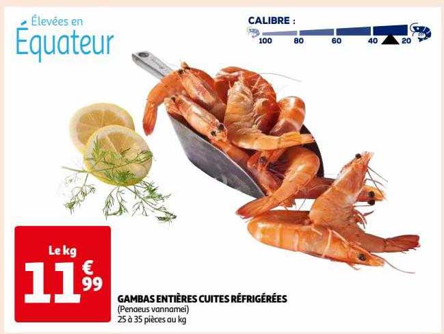Gambas Entières Cuites Réfrigérées