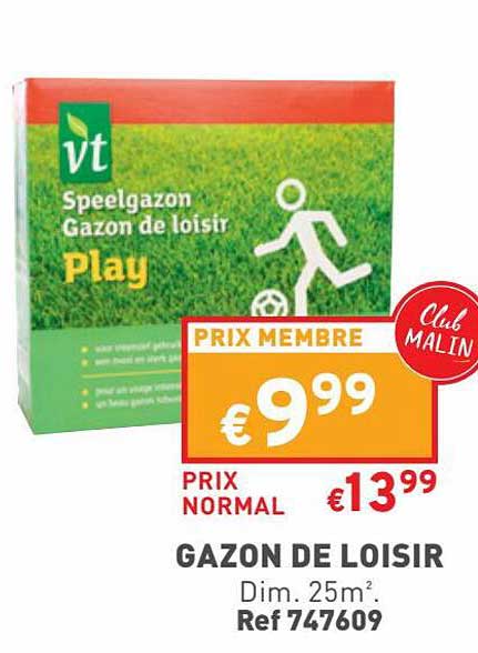 Gazon De Loisir
