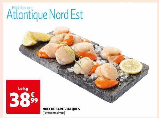 noix de saint-jacques